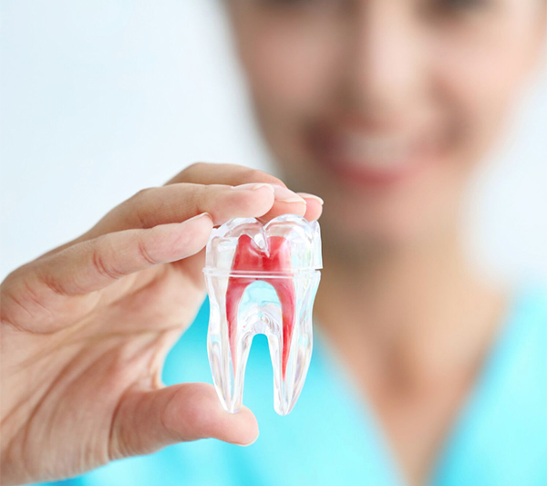 Kanal Tedavisi (Endodonti) Nedir, Nasıl Yapılır?